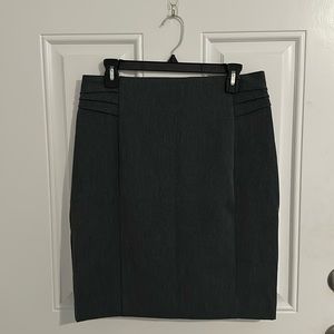 NWT EXPRESS SKIRT